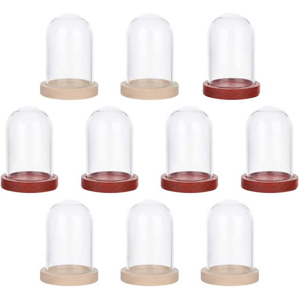 Glass Container Set - 10 juegos Mini flor eterna cúpula